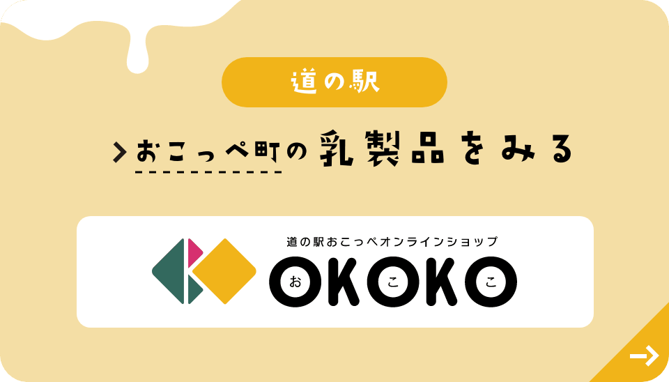 道の駅　OKOKO