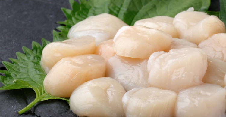 生粋ビジュアル