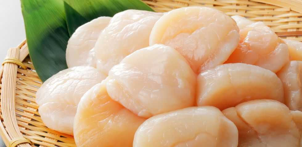 オホーツクの海産物