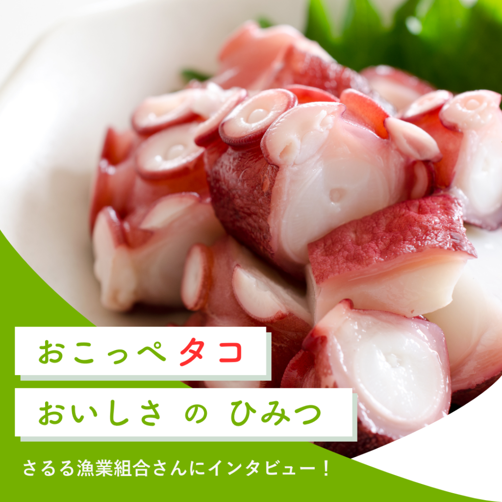 興部町で水揚げ！「タコ」おいしさのヒミツ～お話を伺ってきました！