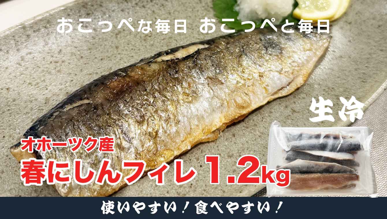 【ワケあり】特大 ”生冷” 春にしんフィレ1.2kg（オホーツク産・オス無塩）