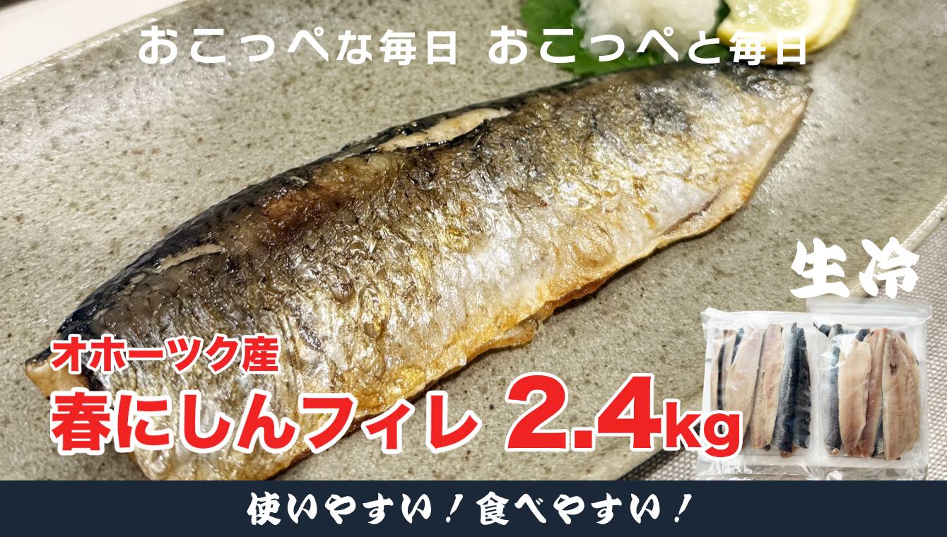 【ワケあり】特大 ”生冷” 春にしんフィレ2.4kg（オホーツク産・オス無塩）