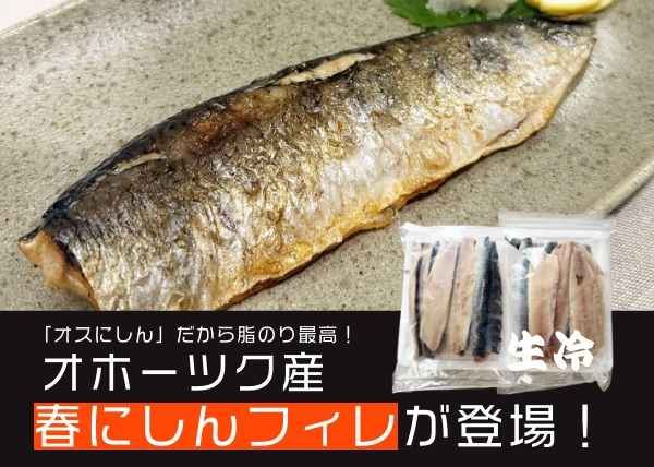【待ってました！】オホーツク産 ” 春にしんフィレ ” が新しく登場！